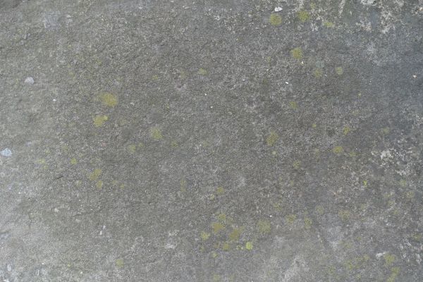 Cost of Slab Staining Service in Gilroy